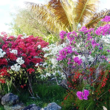 The Lodge - Antigua English Harbour Esterno foto
